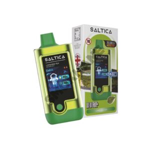 Saltica Digital 20000 Puf LONGJING TEA - Görsel 2