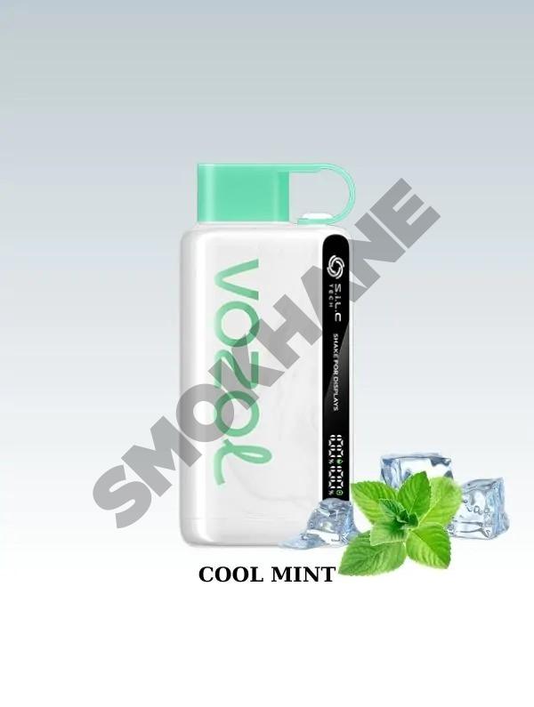 vozol-star-12000-cool-mint-1150_17319565901-1000