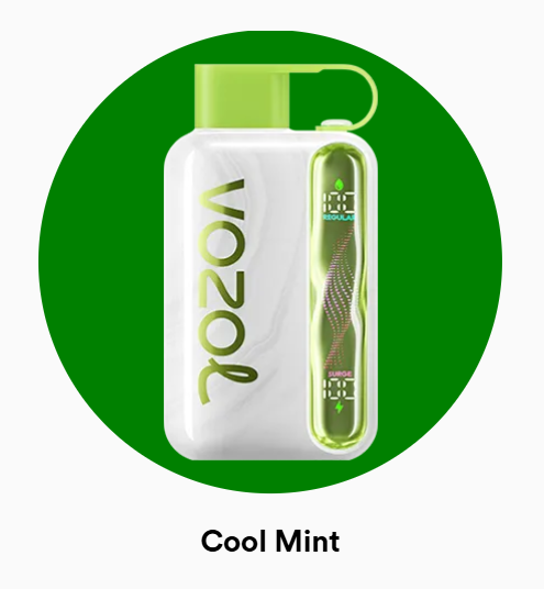 Vozol Star 40000 Cool Mint